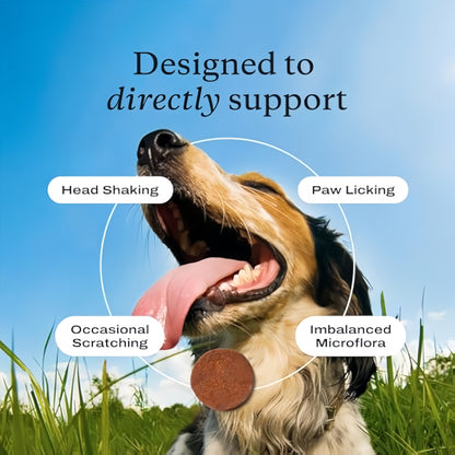 PetLab Co. Allergy & Immune Probiotics for Dogs, Support Seasonal Allergies, Gut & Digestive Health